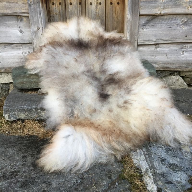 Saueskinn av spelsau, langhåret