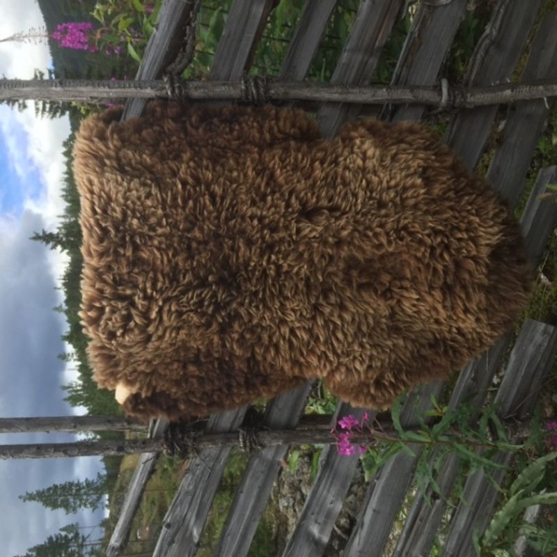Saueskinn av spelsau, langhåret