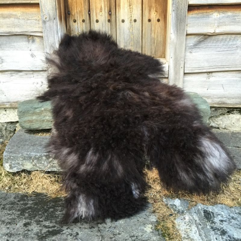 Saueskinn av spelsau, langhåret